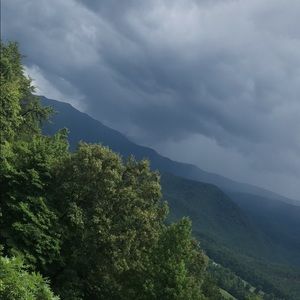 Meet your Posher, Lexi